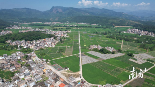 太平镇全力巩固沙陂村“全国民主法治示范村”建设成果。