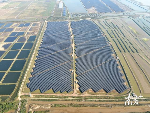 一排排太阳能板，齐刷刷地“站”在了咸围之上。 受访者供图