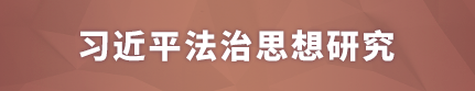 习近平法治思想研究